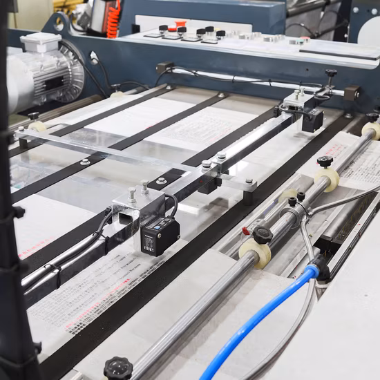 Automatic High Speed Two Lines Biodegradable T