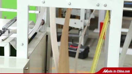 HDPE LDPE PE Nylon Chicken Biodegradable Cloth Patch Carry Poly Nylon Polythene Garbage T