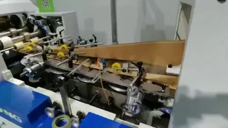 Popular in The Industy and Automatic Biodegradable Paper Bag Making Machine with Excellent Paper Qiality 